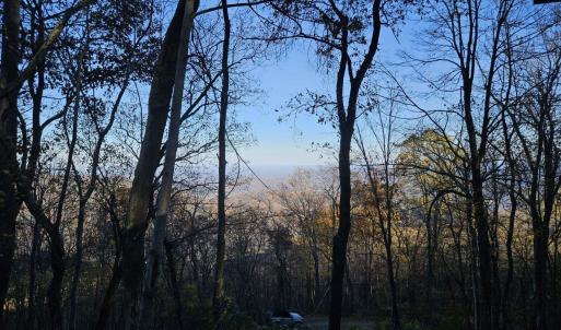 Photo #19 of TBD Lot 17 SPRING BRANCH LN, FREE UNION, VA 3.7 acres