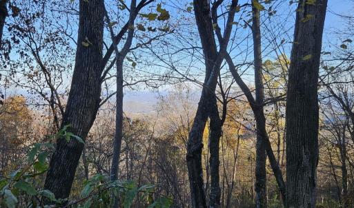 Photo #20 of TBD Lot 17 SPRING BRANCH LN, FREE UNION, VA 3.7 acres