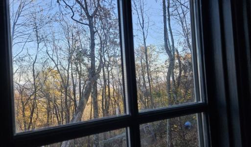 Photo #15 of TBD Lot 17 SPRING BRANCH LN, FREE UNION, VA 3.7 acres