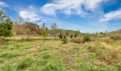 Photo #41 of 3441 MIDLAND TRL, LEXINGTON, VA 37.5 acres