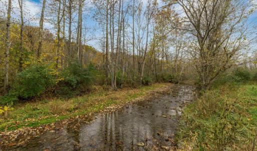 Photo #37 of 3441 MIDLAND TRL, LEXINGTON, VA 37.5 acres