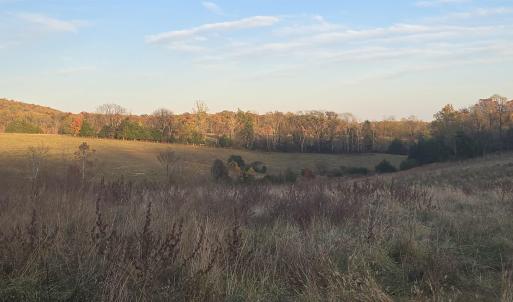 Photo #21 of OCTONIA RD, STANARDSVILLE, VA 55.4 acres