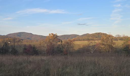 Photo #20 of OCTONIA RD, STANARDSVILLE, VA 55.4 acres