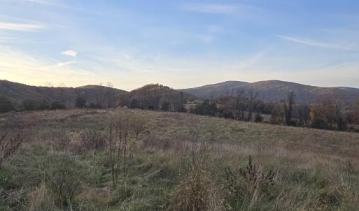 Photo #23 of OCTONIA RD, STANARDSVILLE, VA 55.4 acres