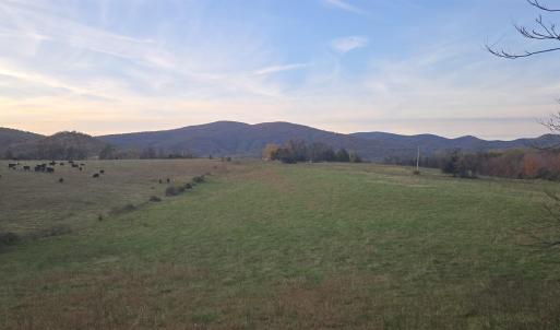 Photo #29 of OCTONIA RD, STANARDSVILLE, VA 55.4 acres