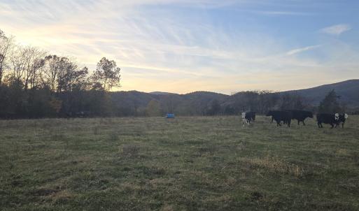 Photo #28 of OCTONIA RD, STANARDSVILLE, VA 55.4 acres