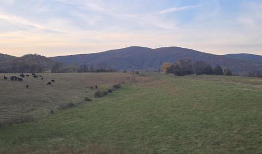 Photo #30 of OCTONIA RD, STANARDSVILLE, VA 55.4 acres