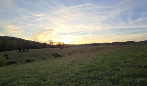 Photo #33 of OCTONIA RD, STANARDSVILLE, VA 55.4 acres