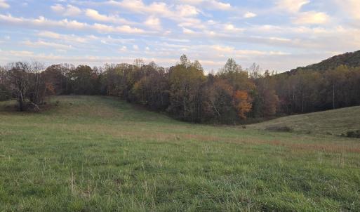 Photo #32 of OCTONIA RD, STANARDSVILLE, VA 55.4 acres