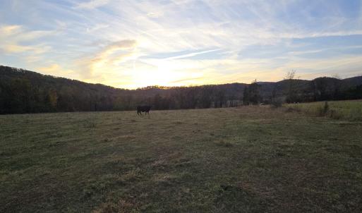 Photo #34 of OCTONIA RD, STANARDSVILLE, VA 55.4 acres