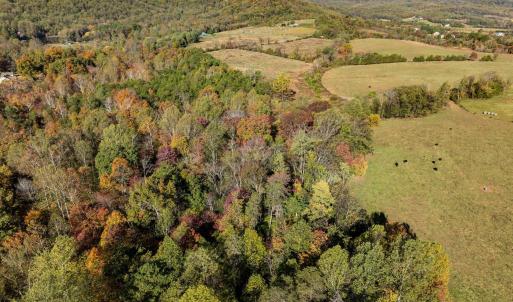 Photo #10 of OCTONIA RD, STANARDSVILLE, VA 55.4 acres