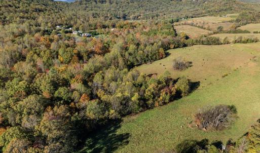 Photo #8 of OCTONIA RD, STANARDSVILLE, VA 55.4 acres