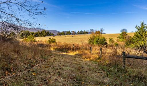 Photo #30 of OCTONIA RD, STANARDSVILLE, VA 55.4 acres