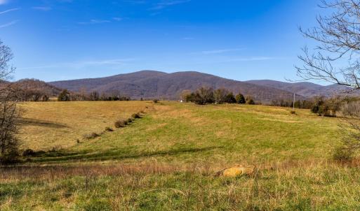 Photo #20 of OCTONIA RD, STANARDSVILLE, VA 55.4 acres