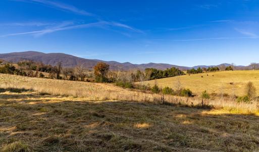 Photo #34 of OCTONIA RD, STANARDSVILLE, VA 55.4 acres