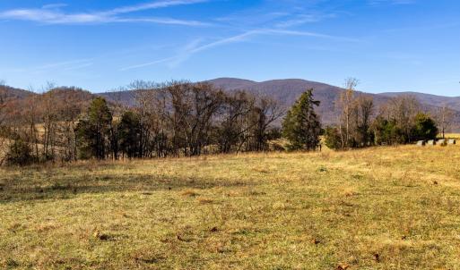 Photo #25 of OCTONIA RD, STANARDSVILLE, VA 55.4 acres