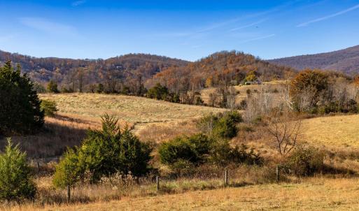 Photo #29 of OCTONIA RD, STANARDSVILLE, VA 55.4 acres
