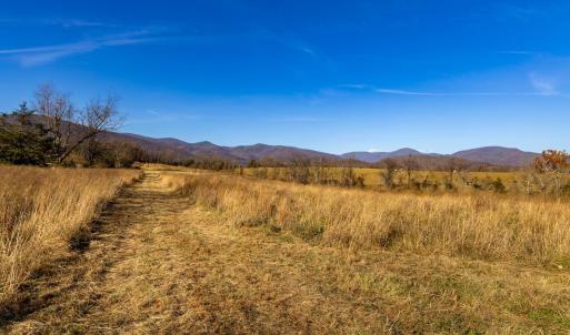Photo #1 of OCTONIA RD, STANARDSVILLE, VA 55.4 acres