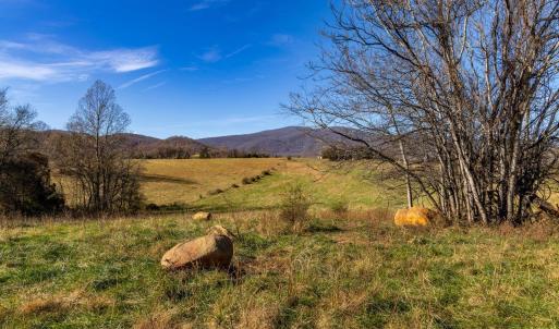 Photo #20 of OCTONIA RD, STANARDSVILLE, VA 55.4 acres