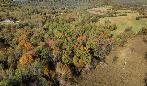 Photo #8 of OCTONIA RD, STANARDSVILLE, VA 55.4 acres