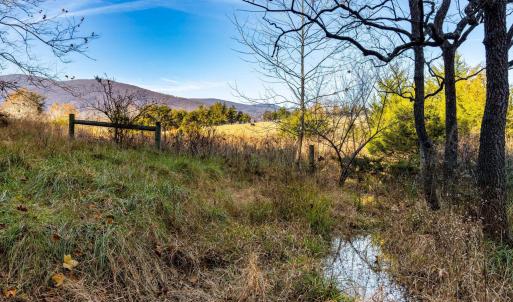 Photo #32 of OCTONIA RD, STANARDSVILLE, VA 55.4 acres