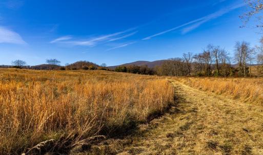 Photo #43 of OCTONIA RD, STANARDSVILLE, VA 55.4 acres