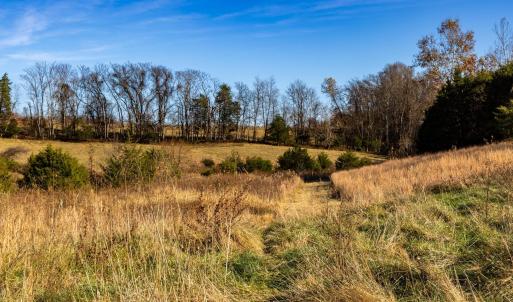 Photo #37 of OCTONIA RD, STANARDSVILLE, VA 55.4 acres