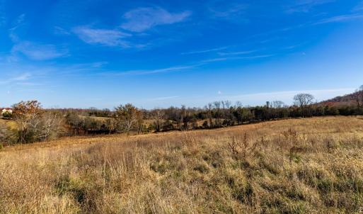 Photo #41 of OCTONIA RD, STANARDSVILLE, VA 55.4 acres
