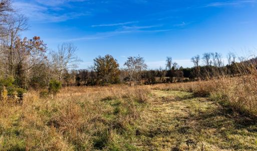 Photo #42 of OCTONIA RD, STANARDSVILLE, VA 55.4 acres