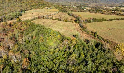 Photo #13 of OCTONIA RD, STANARDSVILLE, VA 55.4 acres