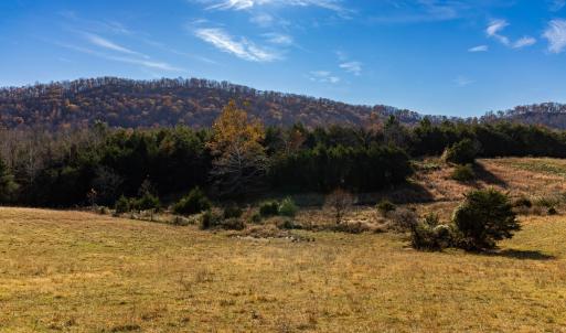 Photo #26 of OCTONIA RD, STANARDSVILLE, VA 55.4 acres