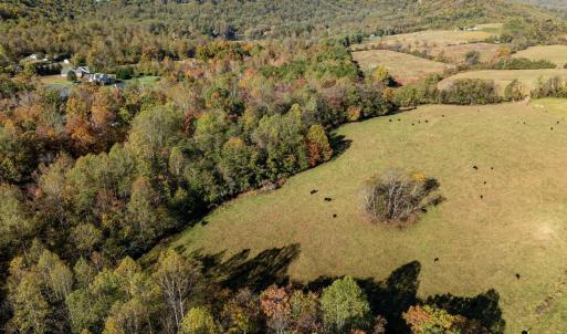 Photo #10 of OCTONIA RD, STANARDSVILLE, VA 55.4 acres