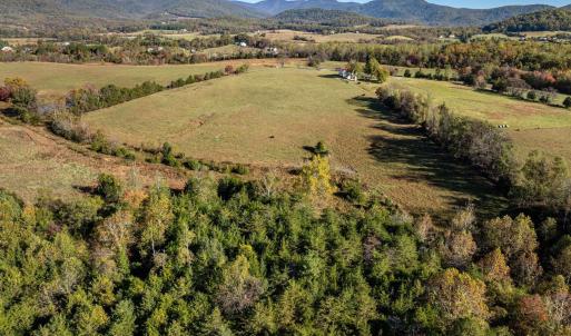 Photo #14 of OCTONIA RD, STANARDSVILLE, VA 55.4 acres