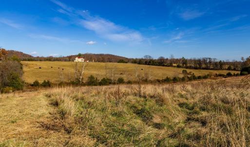 Photo #40 of OCTONIA RD, STANARDSVILLE, VA 55.4 acres