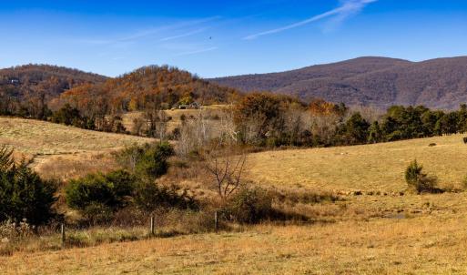 Photo #28 of OCTONIA RD, STANARDSVILLE, VA 55.4 acres