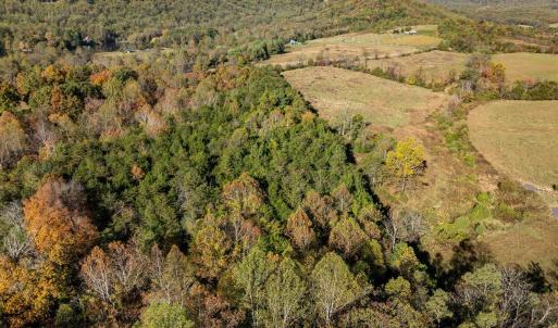 Photo #12 of OCTONIA RD, STANARDSVILLE, VA 55.4 acres