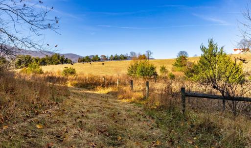 Photo #30 of OCTONIA RD, STANARDSVILLE, VA 55.4 acres