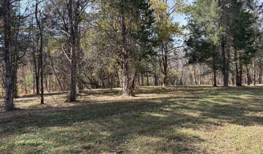 Photo #9 of Parcel A DULWICH DR, AMHERST, VA 19.8 acres