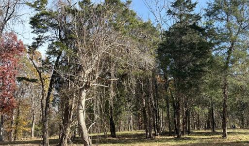 Photo #27 of Parcel A DULWICH DR, AMHERST, VA 19.8 acres