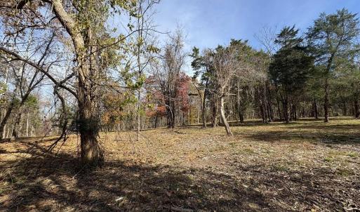 Photo #26 of Parcel A DULWICH DR, AMHERST, VA 19.8 acres