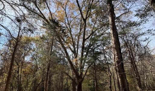 Photo #18 of Parcel A DULWICH DR, AMHERST, VA 19.8 acres