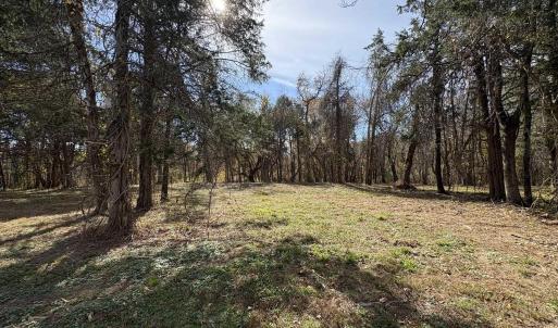 Photo #29 of Parcel A DULWICH DR, AMHERST, VA 19.8 acres