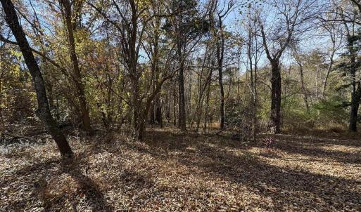 Photo #21 of Parcel A DULWICH DR, AMHERST, VA 19.8 acres