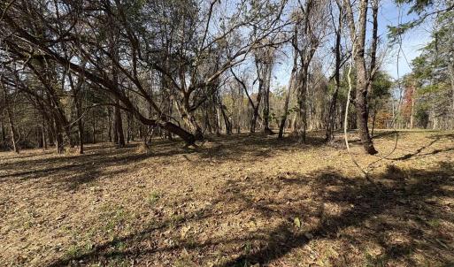 Photo #13 of Parcel A DULWICH DR, AMHERST, VA 19.8 acres