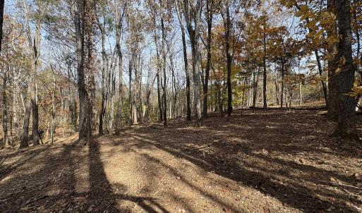 Photo #3 of Parcel A DULWICH DR, AMHERST, VA 19.8 acres