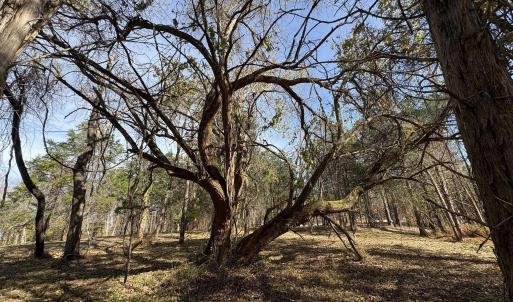 Photo #15 of Parcel A DULWICH DR, AMHERST, VA 19.8 acres