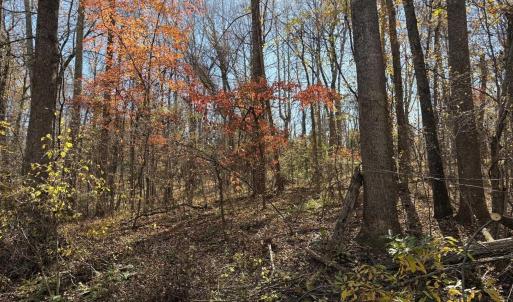 Photo #6 of Parcel E RICHMOND HWY, AMHERST, VA 5.8 acres