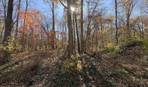 Photo #7 of Parcel E RICHMOND HWY, AMHERST, VA 5.8 acres