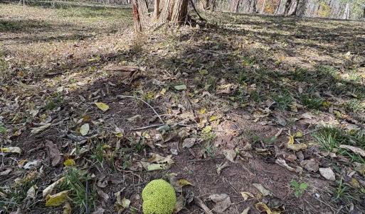 Photo #10 of Parcel B DULWICH DR, AMHERST, VA 21.7 acres