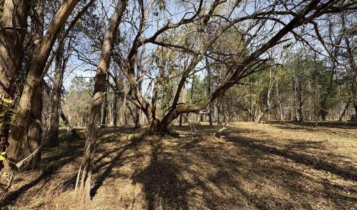 Photo #13 of Parcel B DULWICH DR, AMHERST, VA 21.7 acres